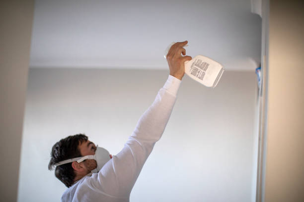 Best Water Damage Restoration  in Luverne, MN