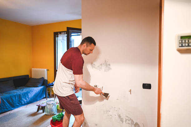 Best Mold Testing and Removal  in Luverne, MN