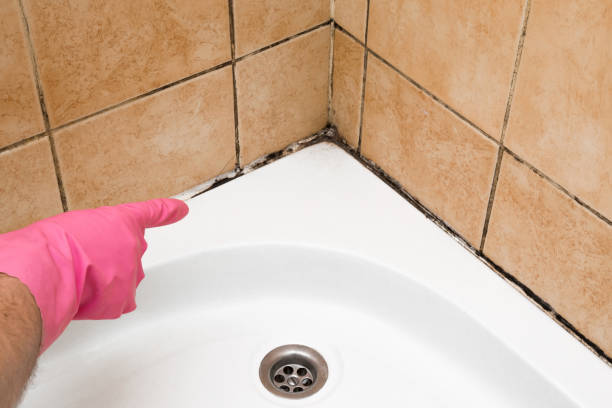 Best Mold Testing  in Luverne, MN